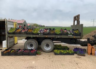 Geslaagde Drive Thru plantjesmarkt op Zorgboerderij de Veldlinden