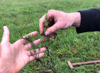 Schoner water en meer biodiversiteit door beter bodembeheer