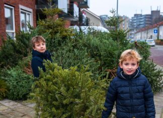 Inzameling kerstbomen in Dordrecht op Woensdag 5 januari
