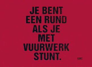 Ruim 23 duizend euro schade aan gemeentelijke eigendommen Hardinxveld-Giessendam door vuurwerk