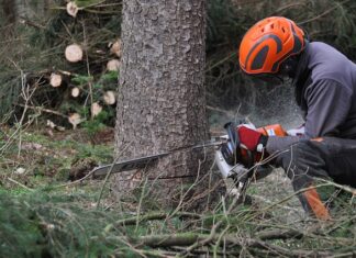 Rijkswaterstaat verwijdert bomen langs de A16 ter hoogte van vakantiepark Europarcs de Biesbosch