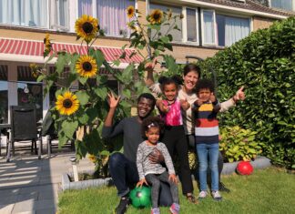 Wie kweekt ‘de hoogste van Dordt’?