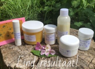 Dit weekend Open Imkerij Dagen bij Totalis Naturales