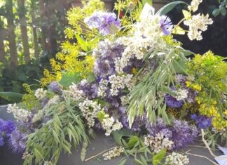 Zaadbommen maken en gratis bloemenzaad bij TotalisNaturales