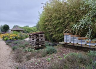 Dompelkaars maken tijdens de Open Imkerijdagen bij TotalisNaturales