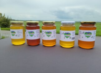 Zaterdag 19 augustus: Hoeksche Waardse Honingproeverij bij Totalis Naturales