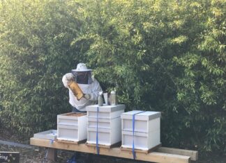 Zaterdag 13 juli: Open Imkerijdagen bij TotalisNaturales aan de Oudendijk 47 te Strijen