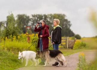 Wil je met je viervoeter nog even het vuurwerk ontlopen? Ga dan maandag 30 december om 11.00 uur mee naar Tiengemeten