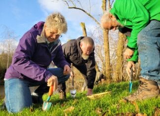 2200 Bloembollen voor bijen en vlinders in Strijensas