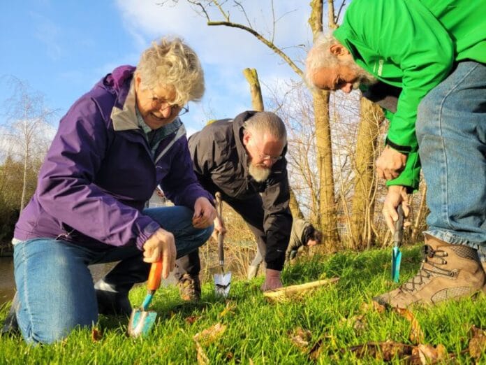 2200 Bloembollen voor bijen en vlinders in Strijensas