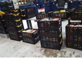 Succesvolle inzamelingsactie: 905 kratten met voedingsmiddelen voor de Voedselbank Hoeksche Waard