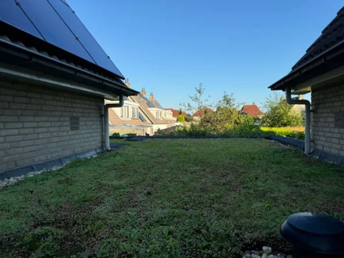 Waterschap geeft subsidie voor groene tuinen en wijken