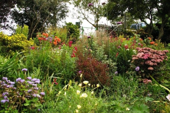 Wie doet er mee aan de Opentuinencarrousel?