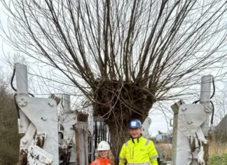 Knotwilgen Korteweg Zuid-Beijerland krijgen tweede leven