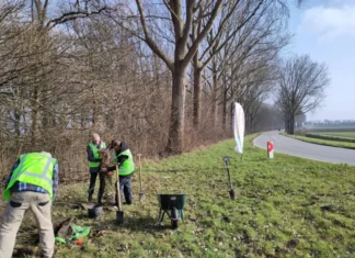 Nieuwe uitgifte dag Bomenhub HW zoemt op 22 februari!