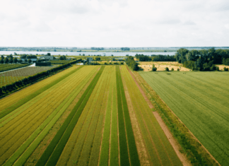 Boer én ecoloog enthousiast over productieve akkers boordevol insecten en vogels