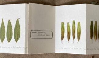 Maak je eigen storytile van een oud bibliotheekboek