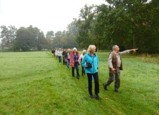 Wandel het voorjaar tegemoet met natuurwandelingen van Gezond Natuur Wandelen