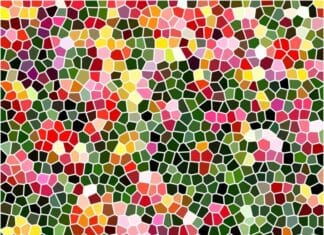 Creatief aan de slag in het NumansDorpsHuis: Workshops Vilten en Mozaïeken