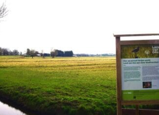 Eerste kalveren op Perceel Strijen Land van Ons