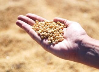 Lezing door de Soja Boys voor vrouwen uit Numansdorp