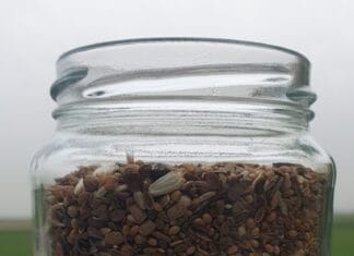 Raad hoeveel bloemenzaad en win