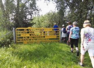 Hoeksche Waardse Wandeluitdaging voor diabetes patiënten in mei van start!