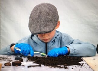 14 en 15 juni : Archeologiedagen bij Museum Hoeksche Waard