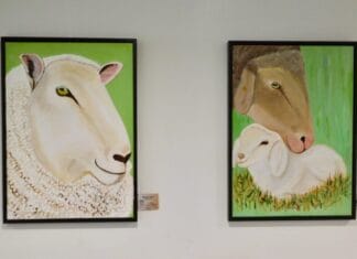 Nieuwe expositie Tia Sprott in Dienstencentrum ’t Weegje