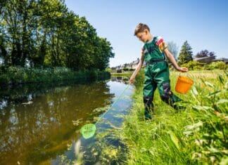 Waterschap Hollandse Delta ligt op koers en sluit 2024 af met positief resultaat van ruim 7 miljoen euro