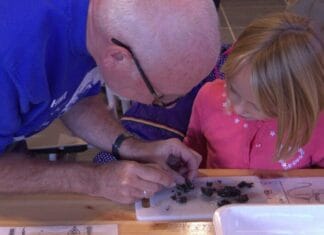 Braakballen pluizen op 4 en 29 juni in Oud-Beijerland: leuk én leerzaam voor jong en oud