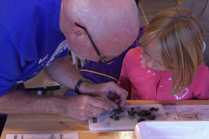 Braakballen pluizen op 4 en 29 juni in Oud-Beijerland: leuk én leerzaam voor jong en oud