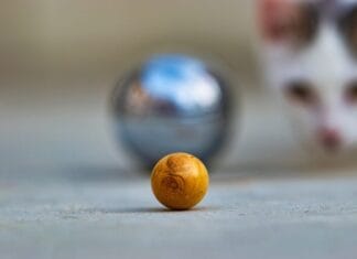 Ventura Sport organiseert Open Dag Jeu de Boules in Strijen