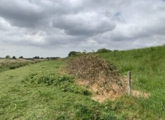 Bestrijdingsmiddelen op dijken taboe: Water Natuurlijk wil actie van waterschap