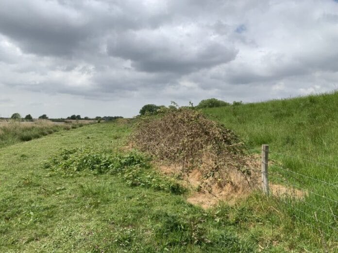 Bestrijdingsmiddelen op dijken taboe: Water Natuurlijk wil actie van waterschap