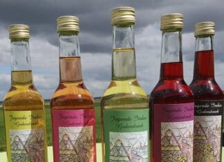 Vaderdag actie bij TotalisNaturales