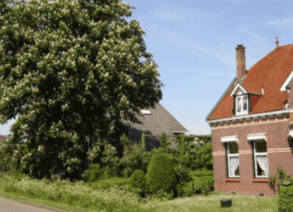 Strijen, het groene dorp langs de keen.