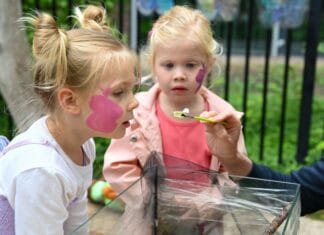 Vlinders uitgevlogen bij Vlinderfeest Wiedewei