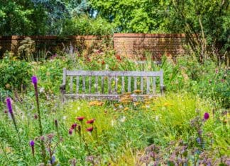 Tuinliefhebbers opgelet: Open Tuinen in Numansdorp op 14 en 15 juni