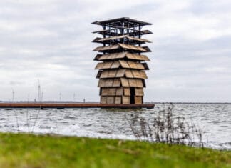 Zwemmen in natuurwater in de Hoeksche Waard : Genieten met gezond verstand