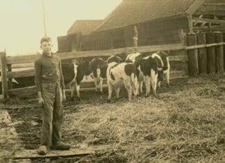 Bestseller ‘Oorlog in de Hoeksche Waard 1940-1945’ weer verkrijgbaar