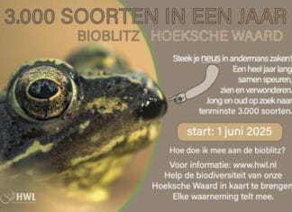 HWL gaat voor het tellen van minimaal 3000 soorten planten, dieren en andere organismen in één jaar