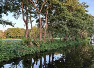 Even langs bij oude vrienden