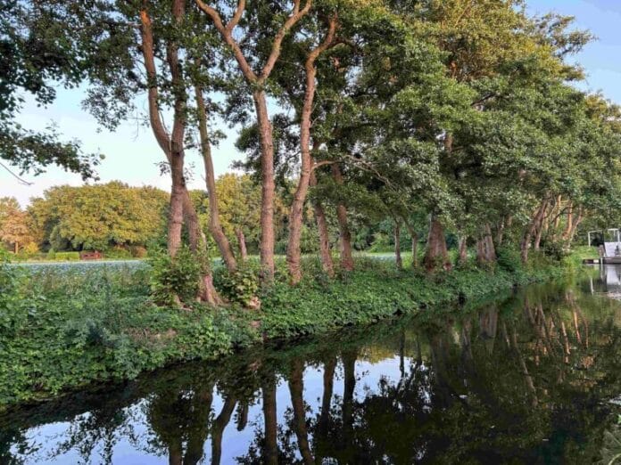 Even langs bij oude vrienden