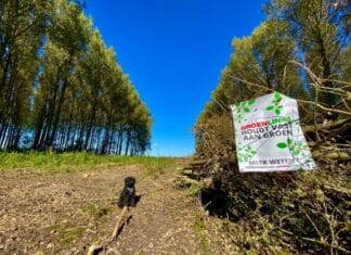 Het Bos van Los verliest meer dan bomen: ook het vertrouwen in de gemeente wankelt