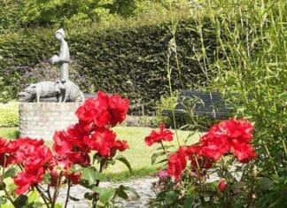 Op de thee bij Museum Hoeksche Waard