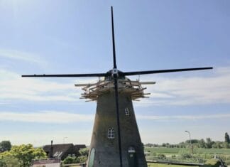 Molen De Lelie schittert weer na restauratie: feestelijke heropening op 6 september