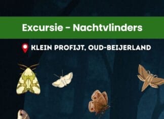 Nationale Nachtvlindernacht in Oud-Beijerland