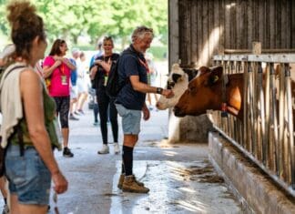 Finish Festival en nieuwe locaties bij Wandel Feest Hoeksche Waard 2025