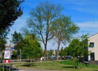 Afscheid van laatste drie ‘iepen musketiers’ in ‘s-Gravendeel